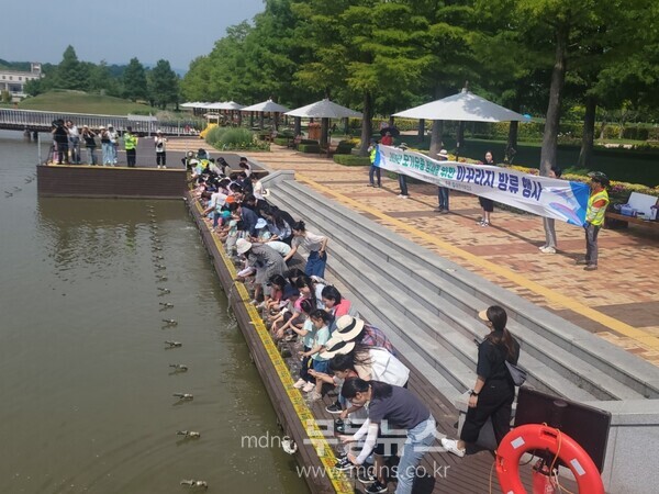 미꾸라지 방류행사(순천시 제공)