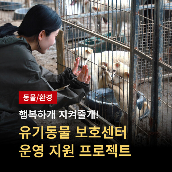 곡성군, ‘열약한 유기동물 보호 여건 ’개선 위한 지정 기부 모금 나서