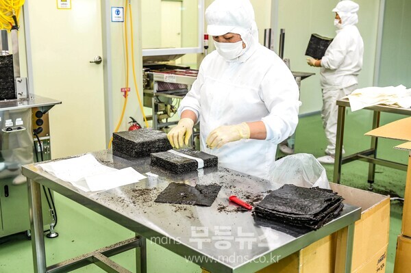 목포시의 올해 3분기 김 수출액이 역대 최고 기록 경신했다. / 목포 대양산단 내의 가공공장에서 마른 김을 생산하고 있다 / 목포시 제공