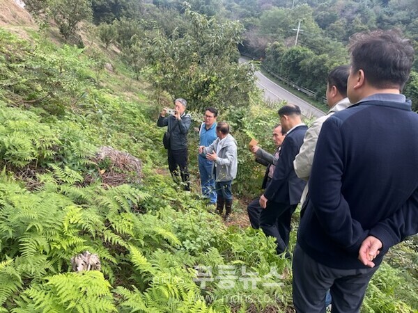 ‘여순사건 희생자 유해 발굴 착수’, 21일 광양 매티재서 개토식 개최 - 24년 10월 28일 현장조사/광양시 제공