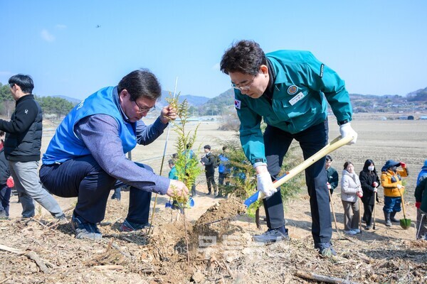 20일 별량면 쌍림리 일원에서 열린 _제80회 식목일 나무심기 행사_에서 노관규 순천시장이 나무를 심고 있다./순천시 제공