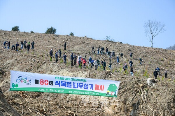 순천시는 제80회 식목일을 기념해 별량면 쌍림리 일원에 4년생 편백나무 800주를 심었다.