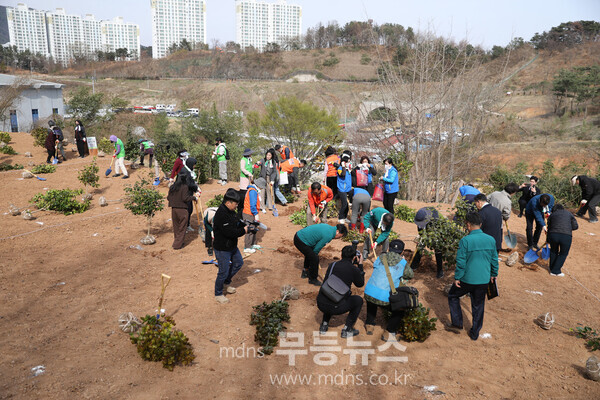 광양시, ‘푸른광양만들기’ 제80회 식목일 기념 나무심기 행사 성료 /광양시 제공