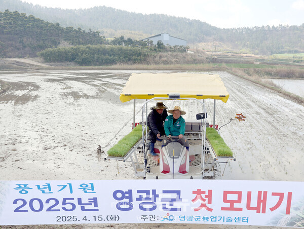 2025년 첫 모내기 실시-군남면 반안리