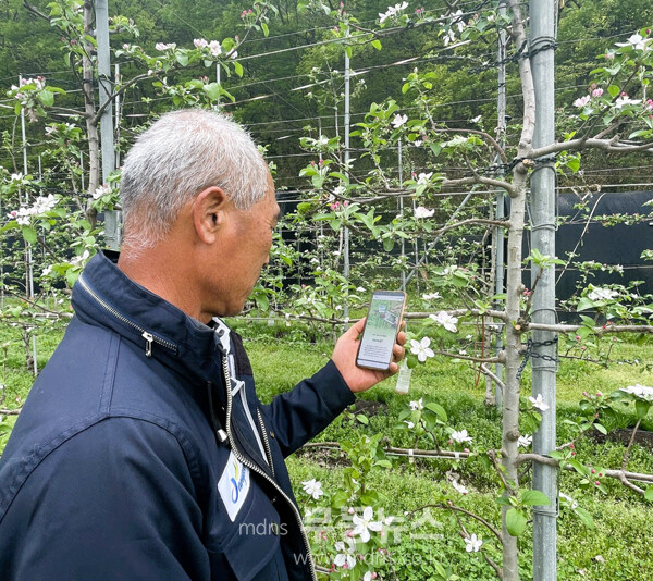 ㅅ마트폰 앱을 활용 농사에 활용하고 있는 농민 (장성군 제공_