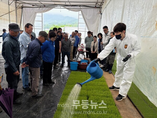 보성군, 벼 모판관주처리 연시회 개최_ 노동력 절감과 병해충 방제 효율을 높일 수 있는 ‘모판관주처리’ 기술을 소개하고 있다./보성군 제공
