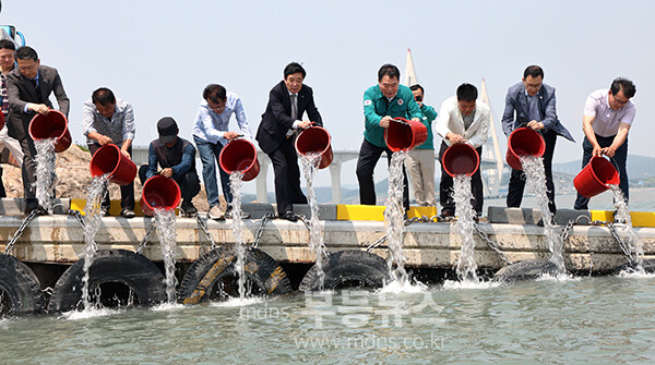 해제면 도리포항에서 진행한 감성돔 종자 방류하고 있는 무안군 (무안군 제공)