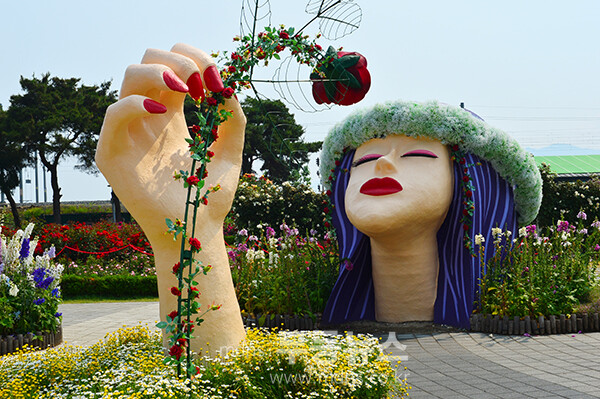 1,004품종의 화려한 곡성 장미정원 (5월 30일 오전, 사진촬영 / 조경륜)