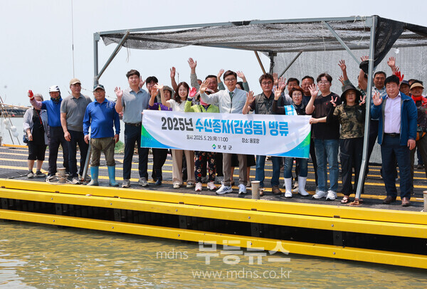 보성군 득량만 수산자원 조성 방류행사 성료_약 5cm 크기의 감성돔 치어 18만 미가 방류돼 바다로 돌아갔다./보성군 제공
