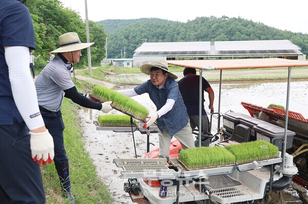김성 장흥군수가 모내기 농촌일손돕기에 나섰다./장흥군 제공