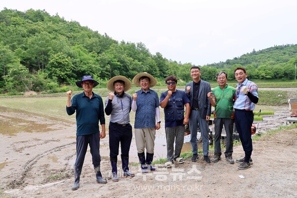 모내기일손돕기