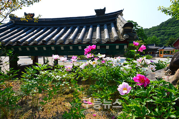 장흥 보림사 (사진촬영 / 조경륜)