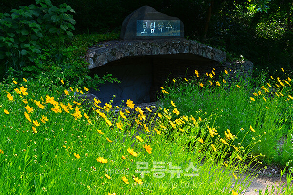 장흥 보림사 (사진촬영 / 조경륜)