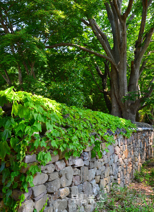 장흥 보림사 입구 돌담 (사진촬영 / 조경륜)