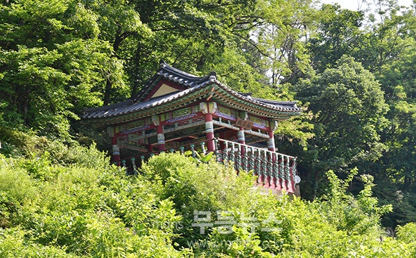 강원도 철원 동송 고석정 (6월 7일 사진촬영 / 조경륜)