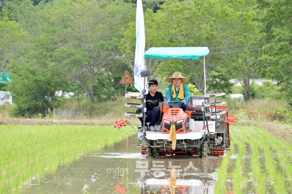 담양군농민회, ‘2025년 담양 통일쌀 모내기 행사’ 개최_사진 김철우 담양군수/담양군 제공