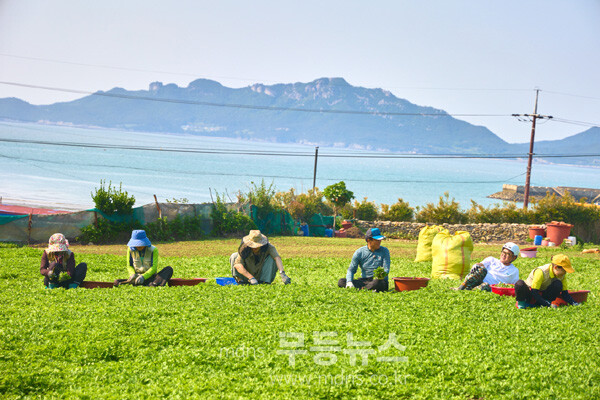 진도 관매도 (진도군 제공)