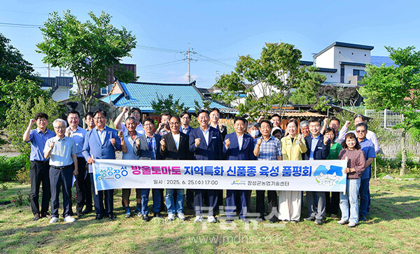 26일 열린 신품종 방울토마토 ‘티에스(TS)샛별’ 품평회  (장성군 제공)