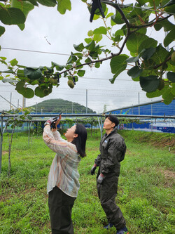 광양시, 고온기 농작물 피해 예방 위한 사전 대응 당부