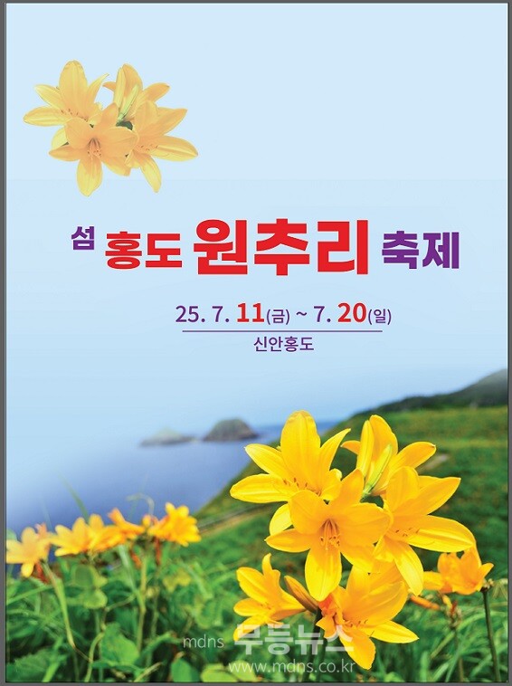 2025 섬 홍보 원추리축제 포스터