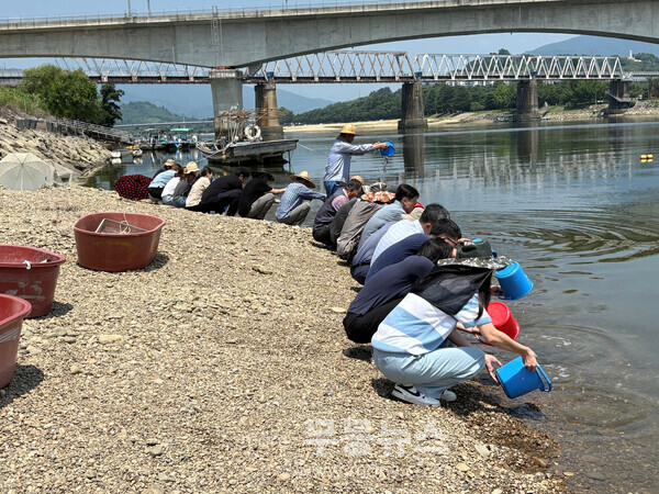(광양시, 섬진강에 어린 메기·동남참게 14만 마리 방류 - 방류사진