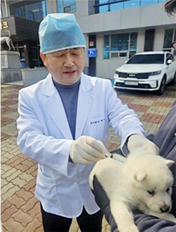 방문진료를 하고 있는 진도군 (진도군 제공)