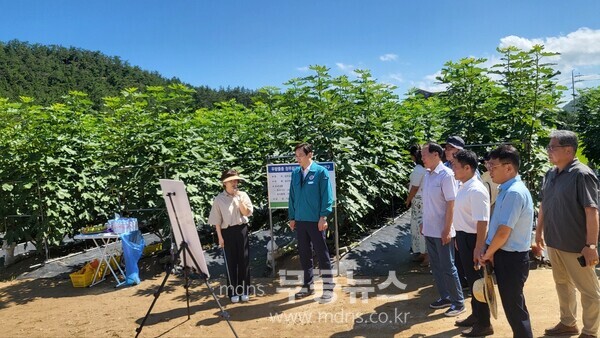 우승희 군수 청무화과 실증농가 방문/영암군 제공