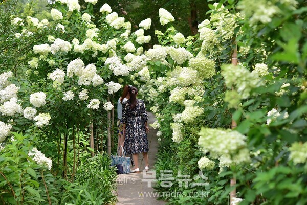 전남도 제2호 민간정원인 죽화경