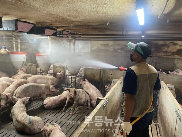 농업인이 악취 저감 미생물을 살포하고 있다./화순군 제공