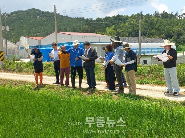 병해충 현장점검.