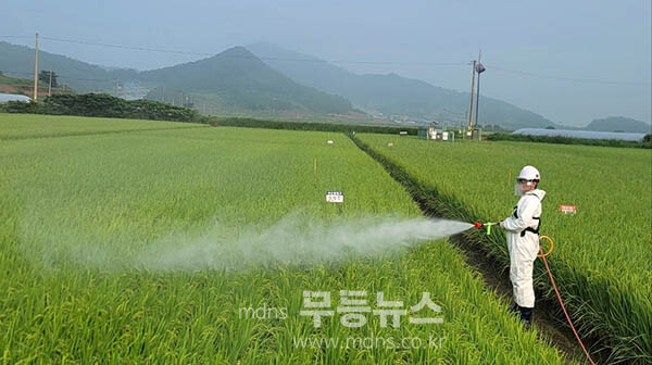 방제작업을 하고 있는 진도군 (진도군 제공)
