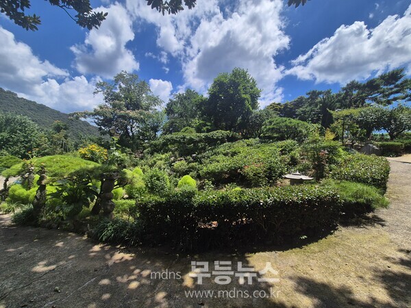 대상‘은행나무농원 꽃이랑 나무랑’