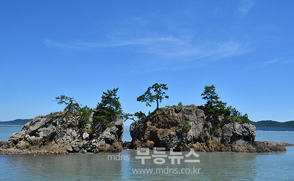 해남 땅끝 일출 촬영의 명소  (15일 / 조경륜 촬영)