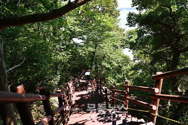 땅끝 탑에서  땅끝 전망대 가는길 (15일 / 조경륜 촬영) 