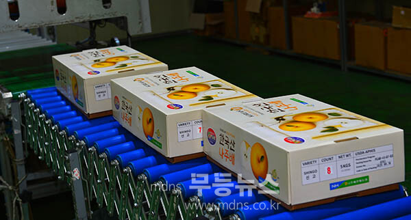 나주시가 2025년산 원황배 미국 수출 선적행사를 개최하고 있다  / 완제품으로  선적되고 있는 나주배(사진촬영 / 조경륜)