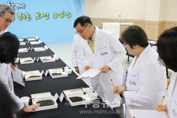 보성군, ‘보성녹차’ 군수가 품질 보증한다!_차의 외형, 찻물의 색, 향, 맛, 우려낸 잎 등 다섯 가지 항목에 대해 심사를 하고 있다./보성군 제공