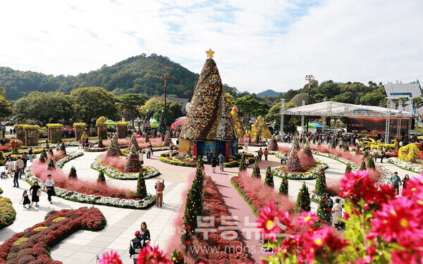 2024 대한민국 국향대전 전경