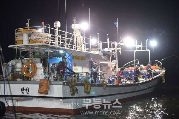 평화광장 갈치낚시 현장, 