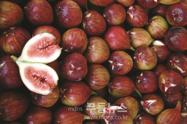 브랜드 무화과