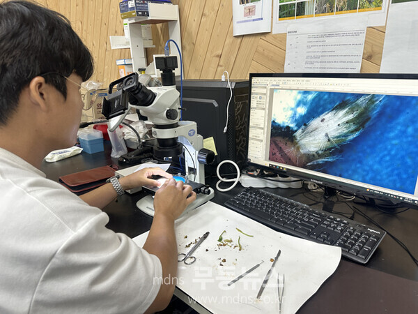 함평군, 딸기농가 필수 점검! ‘꽃눈분화 검사’ 서비스 제공