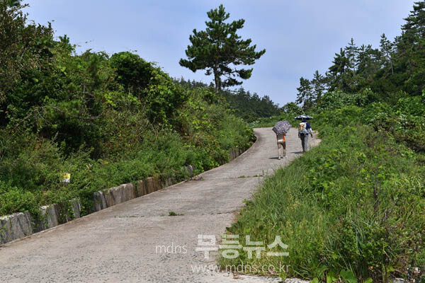 영광 송이도 (조경륜 / 자료사진)