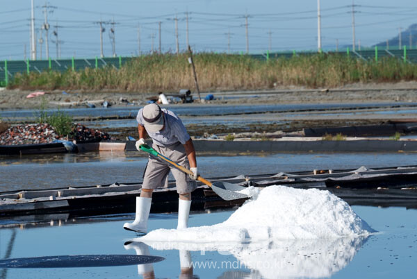 염산 천일염전 (조경륜 / 자료사진)