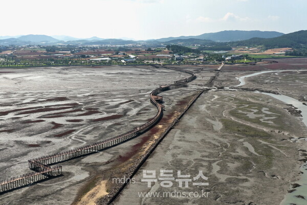 개통을 기다리고 있는 무안갯벌탐방다리