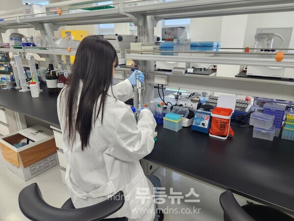  해남군,안정성 분석 검사