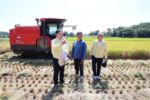 김 산 무안군수가  운남면 박순복씨 논에서 조생종 벼 베기 진행을 살펴보고 있다./무안군 제공