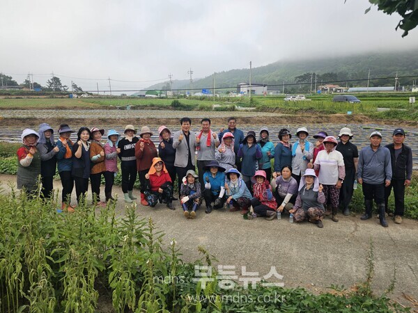 한농연‧한여농 함평군연합회, 연말 김장나눔 위한 배추 정식 실시