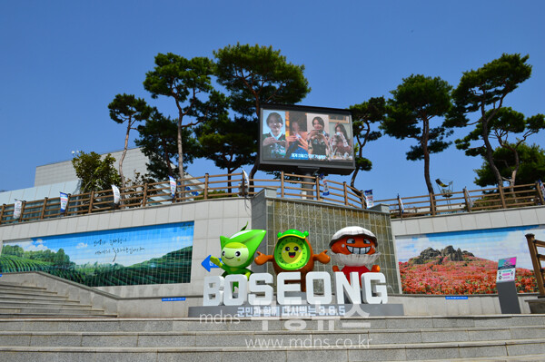 보성군 (자료사진)