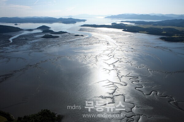 전남 보성군은 9월 20일 오전 11시 10분, 장양어촌체험마을 특설무대에서 유네스코 세계자연유산 보성벌교갯벌의 깃대종으로 ‘알락꼬리마도요’를 선포한다._보성벌교갯벌 사진