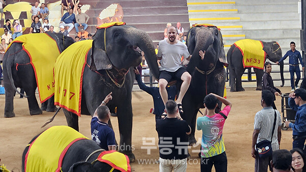 코끼리 쇼 (사진촬영 / 조경륜)