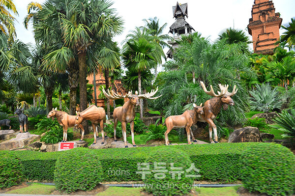 농눅빌리지 관광농원 (사진촬영 / 조경륜)